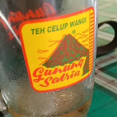 XError001's profile picture. pro teh