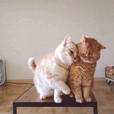 Confusion, frustration, StackOverflow yeah that it