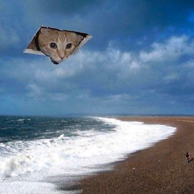 Cholo Triste On Twitter Kien Es Ester Esposito