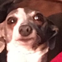 HunterJ (@_hunter_j3) 's Twitter Profile Photo