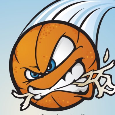Net Rippers Profile