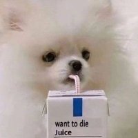 Ian·一安 (@ian19961) 's Twitter Profile Photo