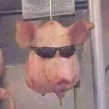 MASSIV_DANGER's profile picture. 