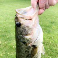 Underdog Fishing(@underdogfishco) 's Twitter Profile Photo