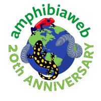 AmphibiaWeb- we're on @amphibiaweb.bsky.social (@amphibiaweb) Twitter profile photo