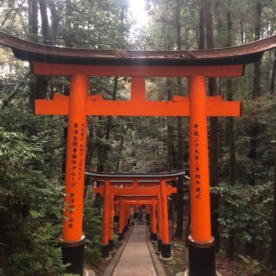 Hazinelli's profile picture. Full-time reader.