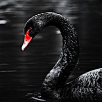 外汇交易员 (@myfxtrader) 's Twitter Profile Photo 外汇交易员 (@myfxtrader) 's Twitter Profile Photo