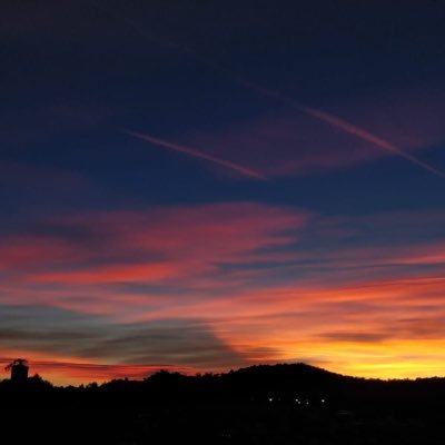 rroyemail's profile picture. ------------- ---------------.-----------