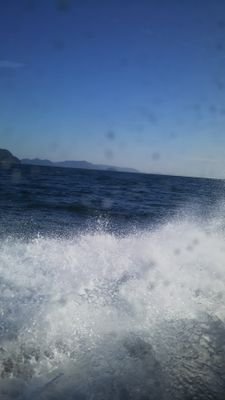 5rvbC46SehfjeG1's profile picture. 島好き、猫好き、羽生結弦君好き
時々野菜作り