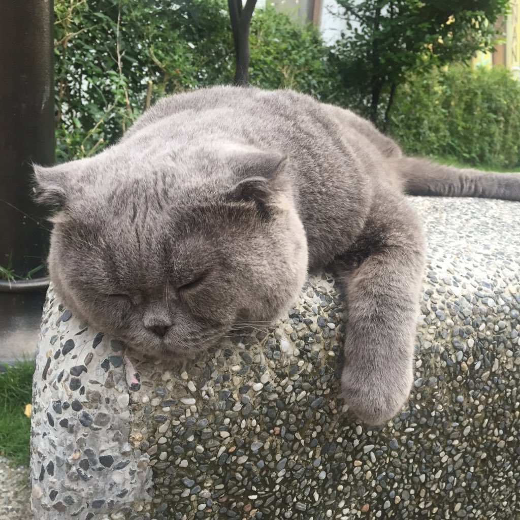 avecmoii1234's profile picture. 