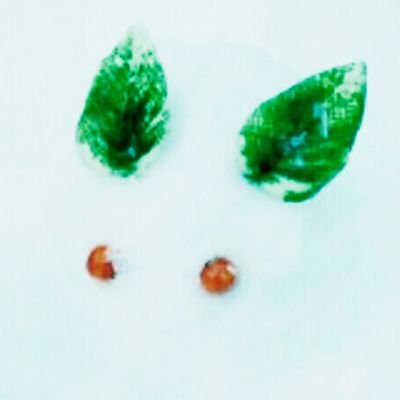 ここさんのプロフィール画像