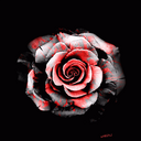 Pam Lawrence - @PamLLawrence - Twitter