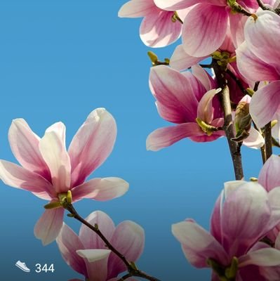 manny_aurora's profile picture. 