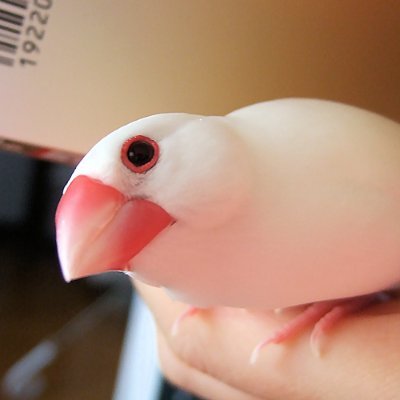 ha_kurasawa's profile picture. I still love you！
「朗読カフェ」さんとのコラボ作品を御紹介します。