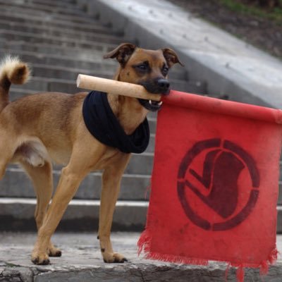 Rattexoly's profile picture. 