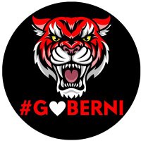 BerniBern (@bernaspawel) 's Twitter Profile
