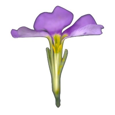 spri82597730's profile picture. 