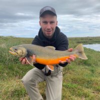 Stefàn Víðir (@stefanvidir) 's Twitter Profile