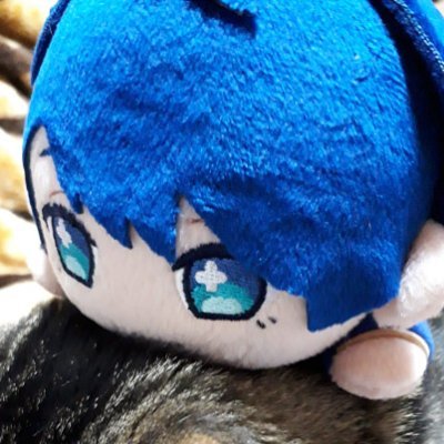 みやこ⛄さんのプロフィール画像