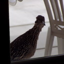 Wayne Erwin - @wpe43 - Twitter