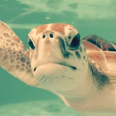 アサヒさんのプロフィール画像