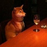 Dont Knock, Nobody's Home (@foxnuggets) 's Twitter Profile