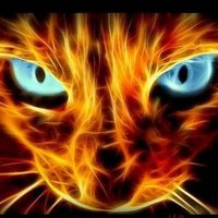 Barbara Kin #Trzaskowski2025 (@barbarakin3) 's Twitter Profile