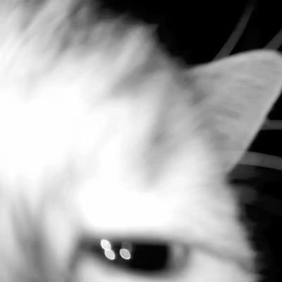 yoga_anaij's profile picture.