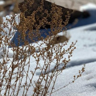 ysss3a's profile picture. سبحان الله وبحمده