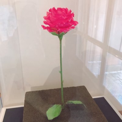 9z8o6c4's profile picture. 素直になろうキャンペーン