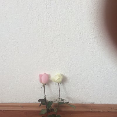 ali45819004's profile picture. Sli