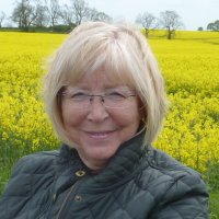 Val (@valuhdbgovernor) 's Twitter Profile Photo Val (@valuhdbgovernor) 's Twitter Profile Photo