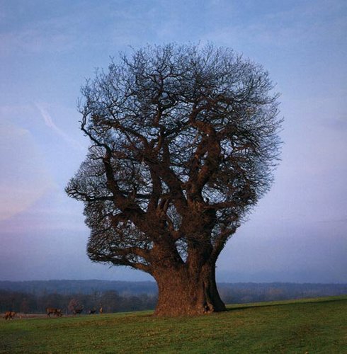 Portland_Aussie's profile picture. 