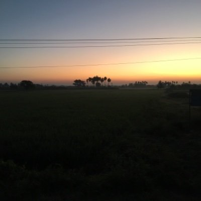 dineshcdk88's profile picture. 