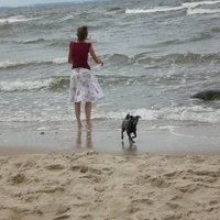 thiesy (@thiesy2) 's Twitter Profile