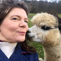 APennieslt (@pennieslt) 's Twitter Profile