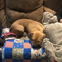 Pat Pike - @PatPike7 - Twitter