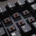 The Mechanical Keyboard (@tkeyboars) Twitter profile photo The Mechanical Keyboard (@tkeyboars) Twitter profile photo