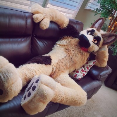 Just a dog who sings and dances!
Check out my YouTube channel for all that fun furry content.
https://t.co/kRyo5knrk8
❤️@mozee ❤️