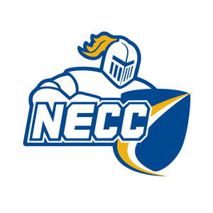 NECC Knights Esports
