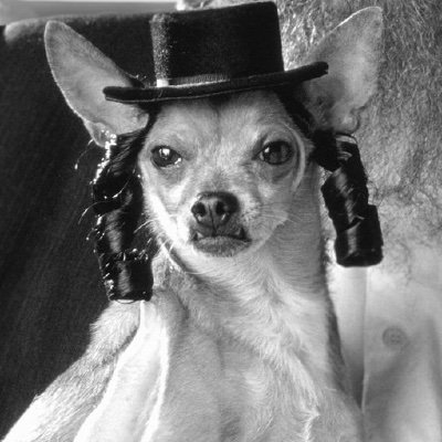 diment69's profile picture. 