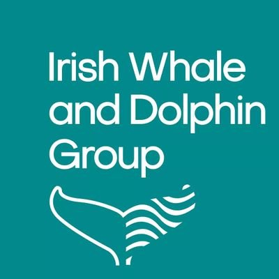 Dedicated to the conservation and better understanding of whales, dolphins and porpoise in Irish waters. https://t.co/f25TkIrpWL. Charities Regulator RCN: 20029913.