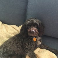 matthew8787 (@matthew8786) 's Twitter Profile