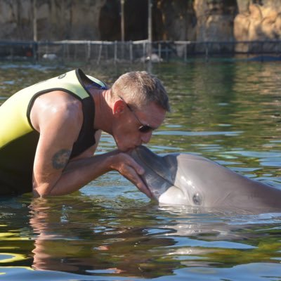 nffcshaggy's profile picture. 