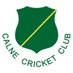 Calne Cricket Club (@CalneCC) Twitter profile photo