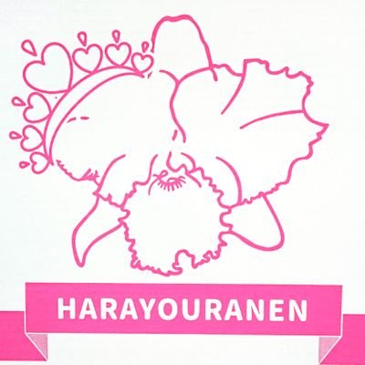 harayouranen Profile Picture