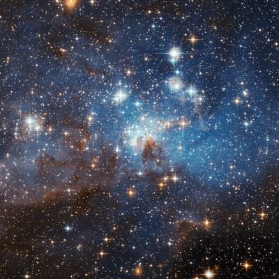 holisticflex's profile picture. 