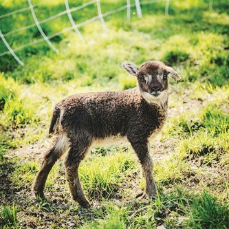 WiltonMagazine's profile picture. Wilton Magazine is an award-winning publication connecting the people of Wilton, Georgetown & Weston. 
https://t.co/91fkN9opjf…