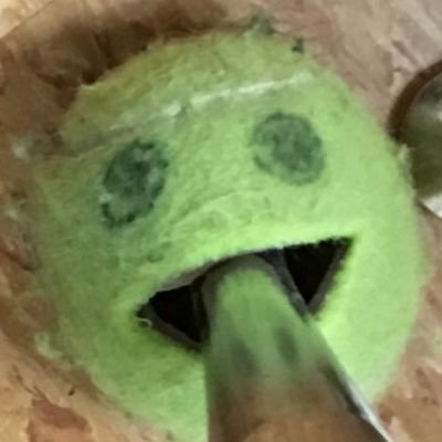 weekbeecher's profile picture. Oh