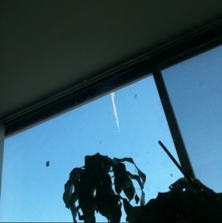 Laindf's profile picture. 